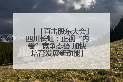 「直击股东大会」四川长虹：正视“内卷”竞争态势 加快培育发展新动能