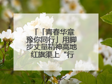 「青春华章 豫你同行」用脚步丈量精神高地 红旗渠上“行走的思政课”