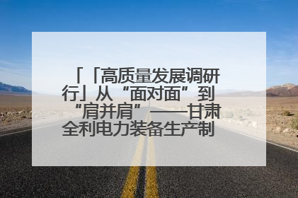 「高质量发展调研行」从“面对面”到“肩并肩”——甘肃全利电力装备生产制造项目一线见闻
