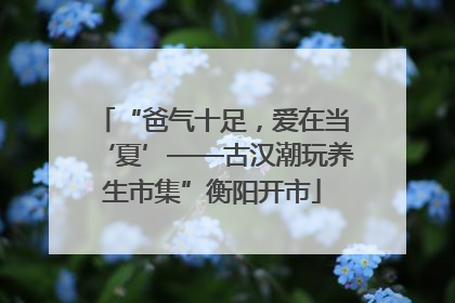 “爸气十足，爱在当‘夏’——古汉潮玩养生市集”衡阳开市