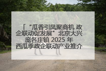 “瓜香引凤聚商机 政企联动促发展”北京大兴庞各庄镇 2025 年西瓜季政企联动产业推介活动圆满举行