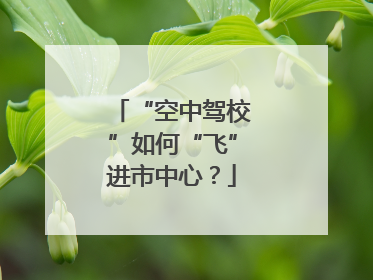 “空中驾校”如何“飞”进市中心？