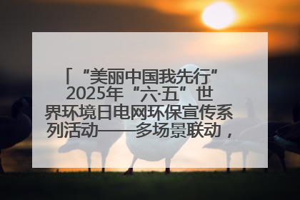“美丽中国我先行” 2025年“六·五”世界环境日电网环保宣传系列活动——多场景联动，共筑生态发展新图景