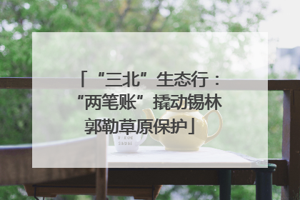 “三北”生态行：“两笔账”撬动锡林郭勒草原保护