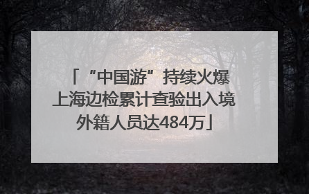 “中国游”持续火爆 上海边检累计查验出入境外籍人员达484万