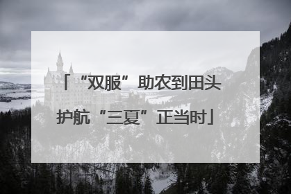 “双服”助农到田头 护航“三夏”正当时