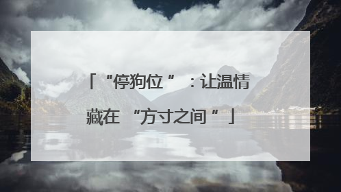 “停狗位 ”：让温情藏在 “方寸之间 ”