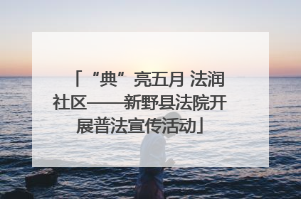 “典”亮五月 法润社区——新野县法院开展普法宣传活动
