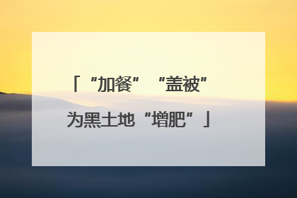 “加餐”“盖被” 为黑土地“增肥”