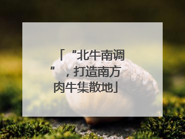 “北牛南调”，打造南方肉牛集散地