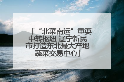 “北菜南运”重要中转枢纽 辽宁新民市打造东北最大产地蔬菜交易中心