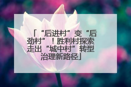 “后进村”变“后劲村”！胜利村探索走出“城中村”转型治理新路径