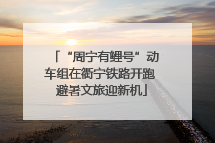 “周宁有鲤号”动车组在衢宁铁路开跑 避暑文旅迎新机