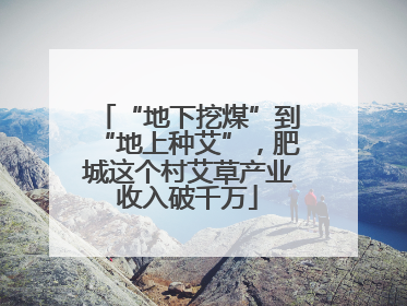 “地下挖煤”到“地上种艾”，肥城这个村艾草产业收入破千万