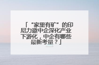 “家里有矿”的印尼力邀中企深化产业下游化，中企有哪些最新考量？