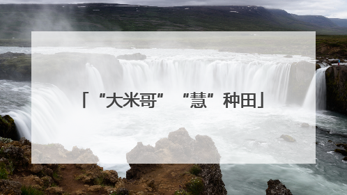 “大米哥”“慧”种田