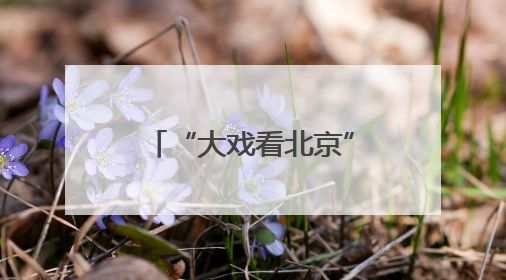 “大戏看北京” 再添京南新地标 大兴区与开心麻花开启演艺之都建设战略合作