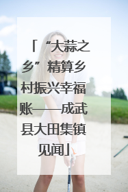 “大蒜之乡”精算乡村振兴幸福账——成武县大田集镇见闻