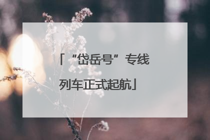 “岱岳号”专线列车正式起航