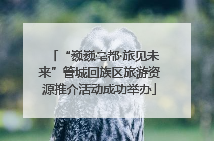 “巍巍亳都·旅见未来”管城回族区旅游资源推介活动成功举办