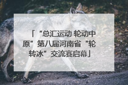 “总汇运动 轮动中原”第八届河南省“轮转冰”交流赛启幕