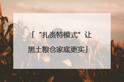 “扎赉特模式”让黑土粮仓家底更实