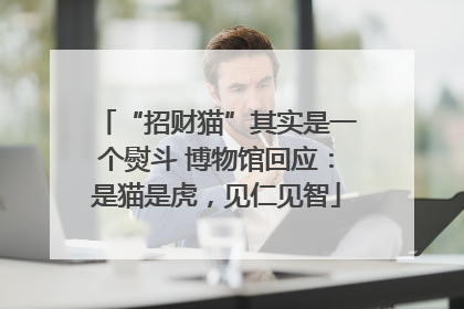 “招财猫”其实是一个熨斗 博物馆回应：是猫是虎，见仁见智