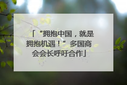“拥抱中国，就是拥抱机遇！”多国商会会长呼吁合作