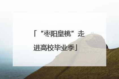 “枣阳皇桃”走进高校毕业季