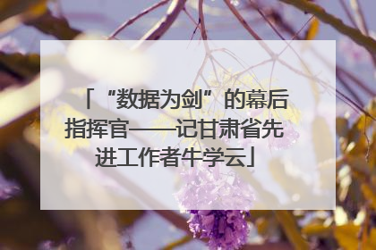 “数据为剑”的幕后指挥官——记甘肃省先进工作者牛学云