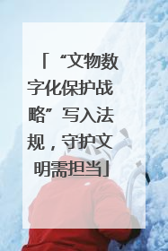“文物数字化保护战略”写入法规，守护文明需担当