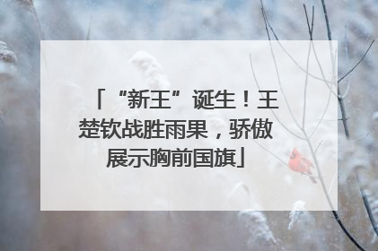 “新王”诞生！王楚钦战胜雨果，骄傲展示胸前国旗