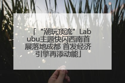“潮玩顶流”Labubu主题快闪西南首展落地成都 首发经济引擎再添动能