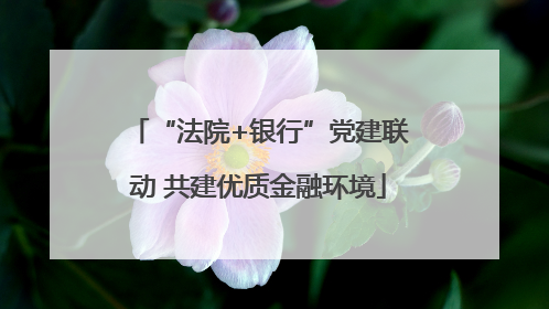 “法院+银行”党建联动 共建优质金融环境