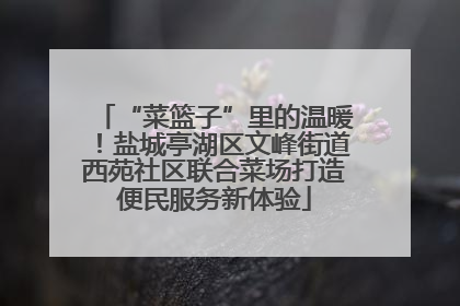 “菜篮子”里的温暖！盐城亭湖区文峰街道西苑社区联合菜场打造便民服务新体验