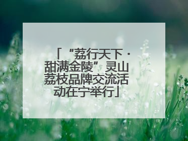 “荔行天下・甜满金陵”灵山荔枝品牌交流活动在宁举行