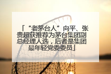 “老茅台人”向平、张贵超获推荐为茅台集团副总经理人选，后者是集团最年轻党委委员