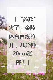 “苏超”火了！金陵体育直线拉升，几分钟20cm涨停！
