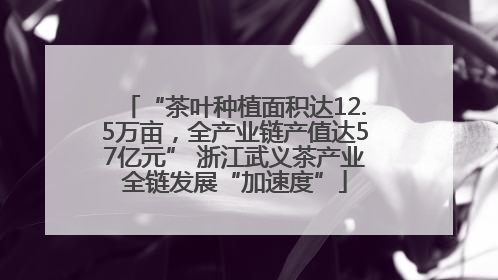 “茶叶种植面积达12.5万亩，全产业链产值达57亿元” 浙江武义茶产业全链发展“加速度”