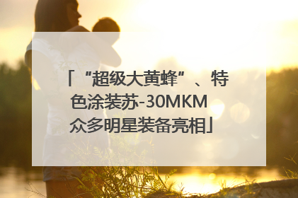 “超级大黄蜂”、特色涂装苏-30MKM 众多明星装备亮相