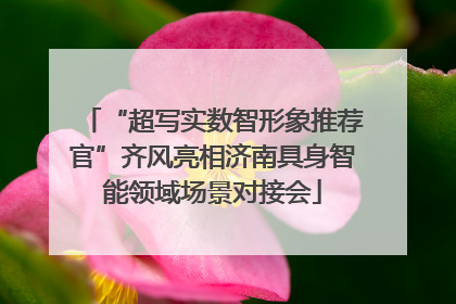 “超写实数智形象推荐官”齐风亮相济南具身智能领域场景对接会