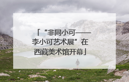 “非同小可——李小可艺术展”在西藏美术馆开幕