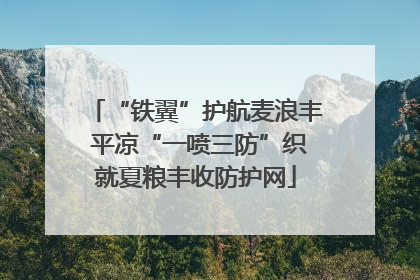 “铁翼”护航麦浪丰 平凉“一喷三防”织就夏粮丰收防护网