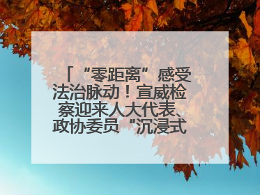 “零距离”感受法治脉动！宣威检察迎来人大代表、政协委员“沉浸式”体验