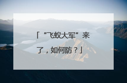 “飞蚁大军”来了，如何防？