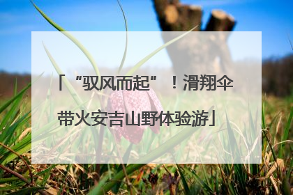 “驭风而起”！滑翔伞带火安吉山野体验游