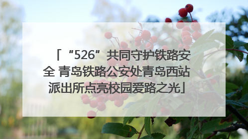 “526”共同守护铁路安全 青岛铁路公安处青岛西站派出所点亮校园爱路之光