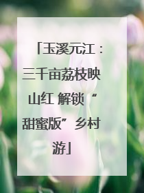玉溪元江：三千亩荔枝映山红 解锁“甜蜜版”乡村游