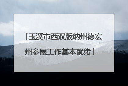 玉溪市西双版纳州德宏州参展工作基本就绪