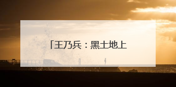 王乃兵：黑土地上“种”出红火日子